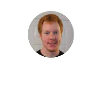 Matt Perry